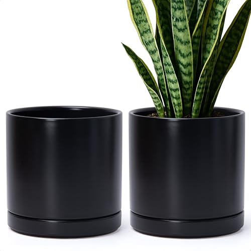 D'vine Dev 2-Pack Ceramic Pots with Saucers, Black, 8.2 in, 94-V-D-2