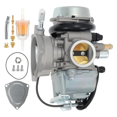 Carburateur pour Suzuki Ozark 250 résout les fuites d'essence LTF250