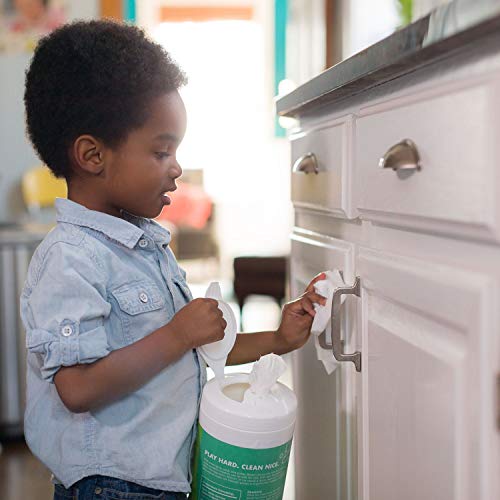 Better Life Natural All-Purpose Cleaning Wipes, Clary Sage & Citrus, 70 Count (Pack Of 2) #TOP7