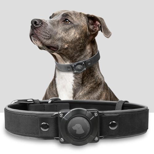 Leather AirTag Dog Collar, 100% Waterproof & Reflective