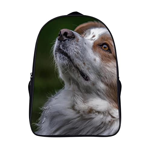 Sac d'école berger australien pour la maternelle et le primaire de 40x28x16cm