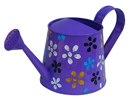 Railing Planter Impex 2 litres Hand Painted Metal planters Round Watering Can for Plants - Rust Free Home Decor Gifting, Garden, Gardening, Tools (Pack of 1, Green) (B082YVBR6M) Amazon Price History, Amazon Price Tracker