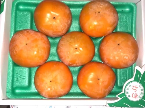�` �Ê` �y�t���[�c�t�@�[����������z �x�L�`�� �c������̖� �L���̊` 1.5kg L 7�� �R�����J���s ��Ȃ� �����s10/���{�`11/��{�̏o�ׁt