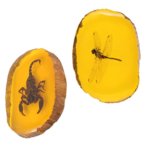 Cabilock 2pcs Specimen Pendants with Insects for Jewelry Making Delicate Amber Charms Dragonfly Scorpion Necklaces Bracelets and Diy Crafts