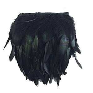 KOLIGHT Schwarze Hahnfederborte, 12,7–17,8 cm, 2 Stück