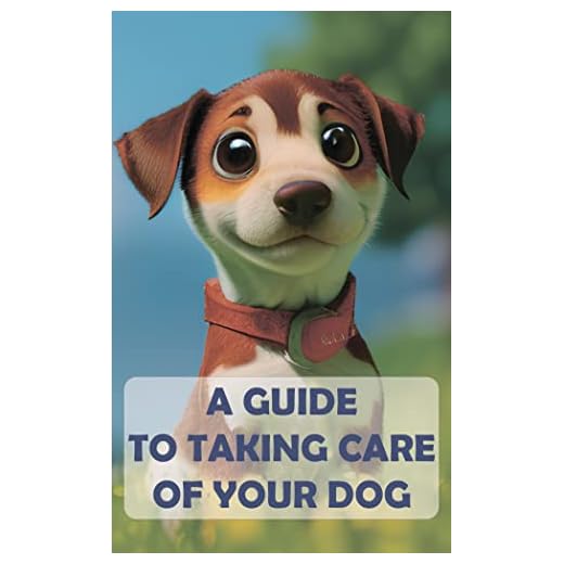 A Guide to Taking Care of Your Dog