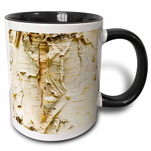 3dRose Paper Birch Tree, Washington Arboretum, Seattle - US48 DGU0233 - Darrell Gulin 11oz Two-Tone Black Mug