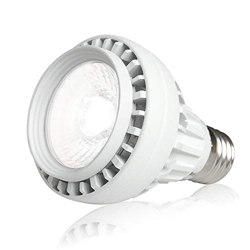 Best Underwater Led Light For Pool