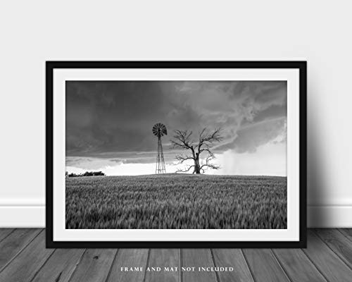 Country Photography Print (Not Framed) Black And White Picture Of Windmill And Tree In Wheat Field As Storm Approaches In Oklahoma Farm Wall Art Farmhouse Decor (4" X 6") #TOP2