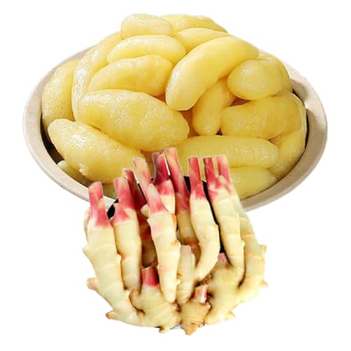 cI ͂͂萶Ỉ Ð|Ђ sh pbƂH ʛI т̂ VI L` I̎_Ђ ? ܂ O_ AiÖ500g×3܁j