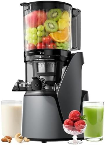 EanOruus Juicer Machines, 3-in-1 Cold Press Juicer, Premium Gray