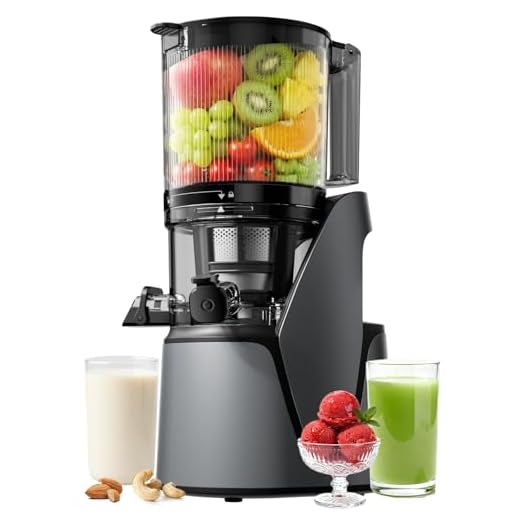 EanOruus Juicer Machines, 3-in-1 Cold Press Juicer, Premium Gray