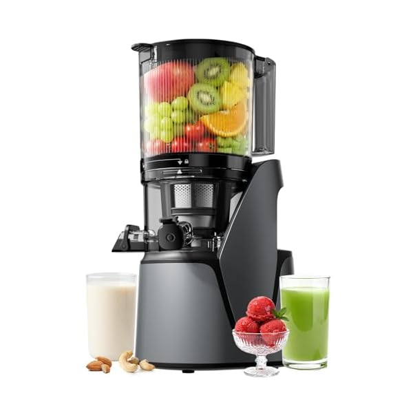 Juicer Machines, 3-in-1 Cold Press Juicer with 6.5″ Extra Large Chute, 100oz Large Capacity, AC Motor, Makes Juice, Nut Milk & Sorbet, Premium Gray