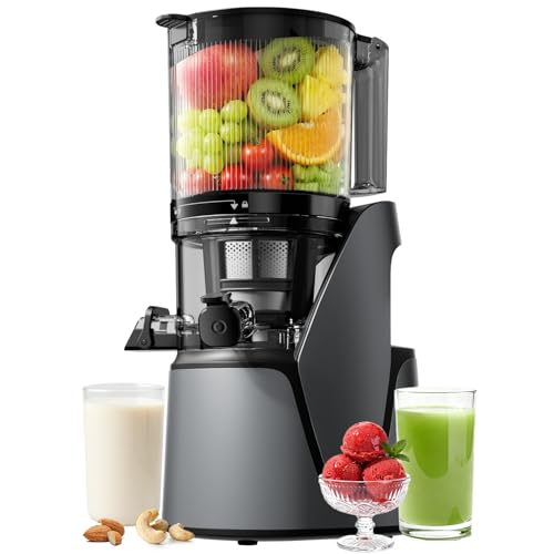 EanOruus Juicer Machines, 3-in-1 Cold Press Juicer with 6.5" Extra Large Chute, 100oz Large Capacity, AC Motor, Makes Juice, Nut Milk & Sorbet, Premium Gray by EanOruus - Used condition - US$134.98