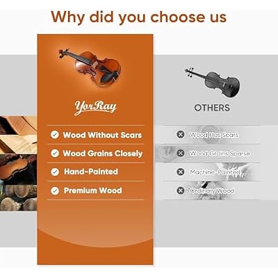 Violin 4/4 Full Size Kit for Adults Beginner, Violin Fiddle Set for Student with Rosewood Bow,Extra Strings&Bridge, Fingerboard Stickers, Shoulder Rest, Case,2 rosins(Plywood)