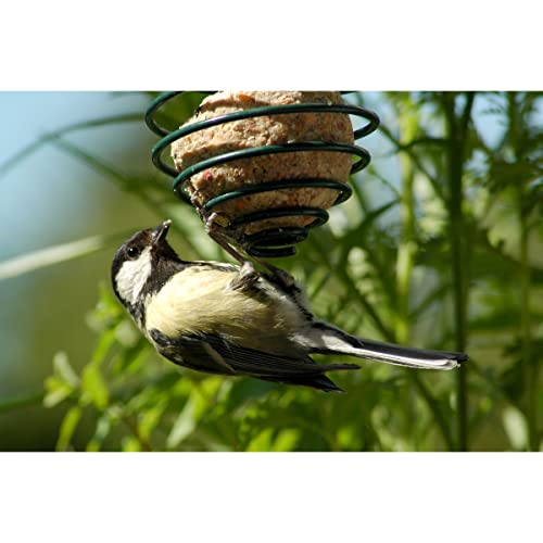 dobar® Meisenknödelhalter - Futterspirale für Meisenknödel - Vogelfutterspender aus Metall - Futtersäule für Wildvögel für Garten/Terrasse/Balkon - Ø 7,5 x 11 (26,5) cm - Grün