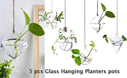 Miracle Black 5 Pcs Glass Hanging Planter, Water Air Plant Succulent Containers Terrarium Kits Hydroponic Planter Vase Terrarium For Home Garden Decor With Watering Squeeze Bottle #TOP6