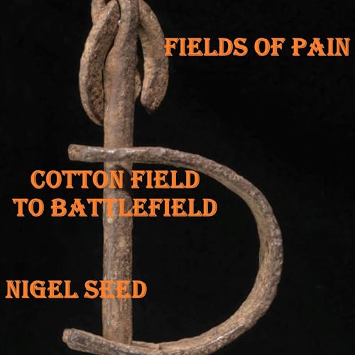 Fields of Pain cover art