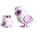 Little Live Pets S2 Tweet Talking Owl And Baby - Graceling Family