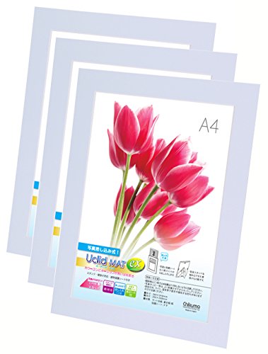 Chikuma フォトフレーム UclidマットEX A4 シェアブルー 3冊セット 30045-8
