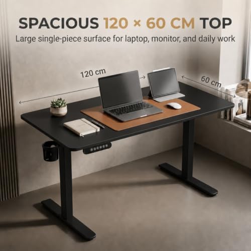 Image of Height Adjustable Table for Office Work | Electric Sit Stand Study Desk 80 Kg Load | Standing Work Table with 3 Memory Preset | Cup Holder Cable Management & Hook |120*60 Cm Thick Top - Black