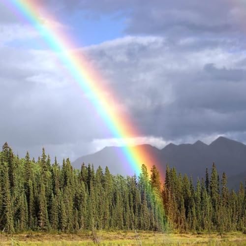 Wunder & Sinne copertina