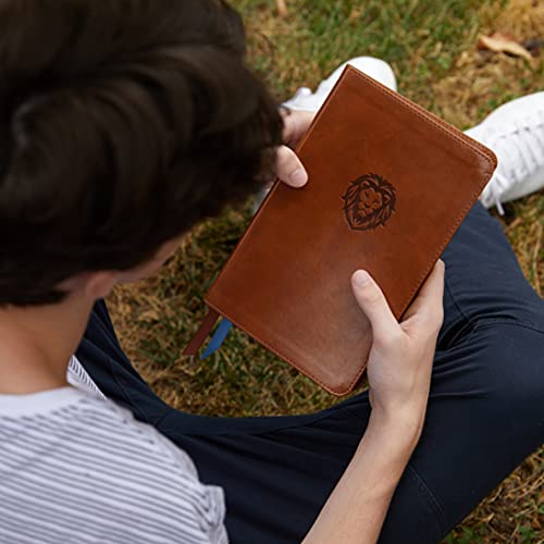 Kjv, Thinline Bible Youth Edition, Leathersoft, Brown, Red Letter Edition, Comfort Print: Holy Bible