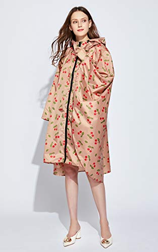 https://m.media-amazon.com/images/I/41bPadtSvtL._SL500_.jpg