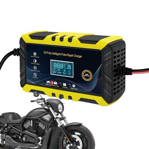 Caricabatteria intelligente caricabatteria da da da da auto da da da da auto 12 V con funzione di riparazione e schermo LCD manutenzione della batteria per da da da auto camion motocicletta
