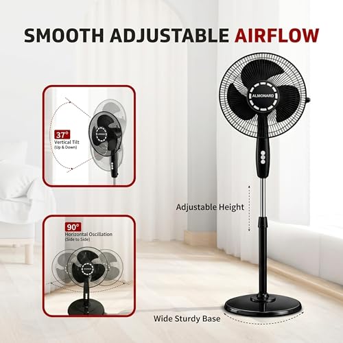 Image of Almonard Fusion Pulse 2-in-1 Pedestal & Table Fan 300mm | High Speed 2400 RPM | Full Copper Motor | Thermal Protection | 3 Speed | Small Stand Fan for Home & Office | 2 Year Warranty (Black)