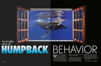 Single Issue Magazine Maui Whale Watch Magazine Book