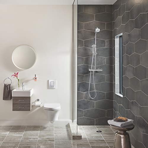 Grohe 40367001 Essentials Wall-Mounted Toilet Paper Holder With Cover, Starlight Chrome #TOP1