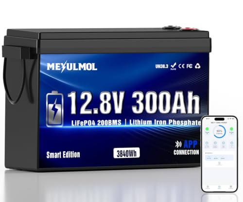 MEYULMOL 12V 300Ah LiFePO4 Lithium Battery
