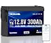 12V 300Ah LiFePO4 Lithium Battery with Bluetooth, 200A BMS, 15000+ Cycles, 3840Wh, Expandable to 4S4P, Lithium Battery with Low-Temp Protection for RV, Solar, Marine, Camping, Off-Grid & Home Backup