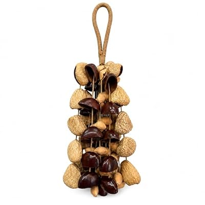 Seed Shell Hand Rattle 3 Kinds of 70 Pure Natural Nut Shells Sound Healing Instruments for Sound Healing and Mindfulness Meditation