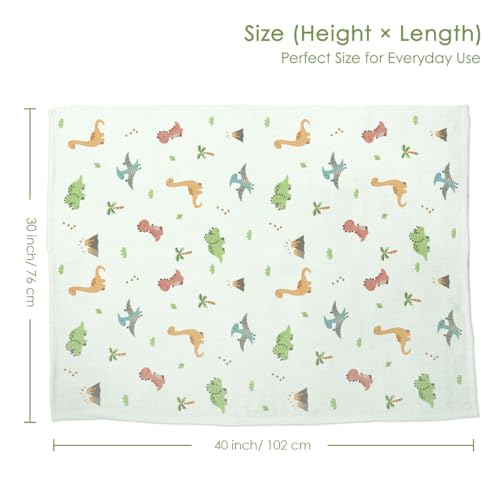 Image of SANDJEST Dinosaur Minky Muslin & Dotted Blanket 30x40 in Gift for Holiday, Gender Reveal Party, Hospital Visit, Baptism