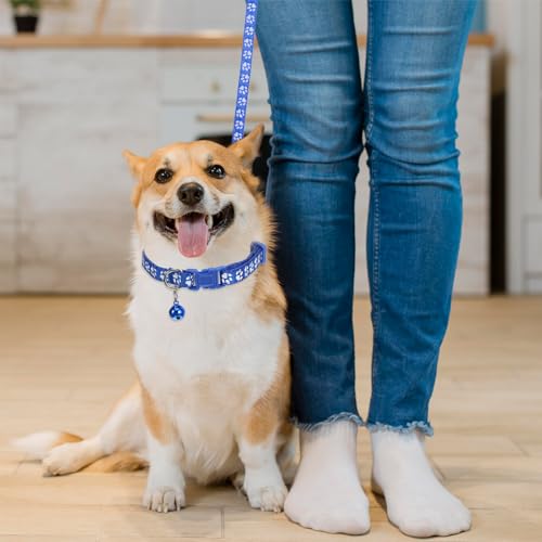 2 Sets Welpenhalsband mit Leine Set für Katzenstreu, Welpen Halsbänder, Katzenleine und Halsband-Set mit Glöckchen, Halsbänder für kleine Hunde, Kein Geschirr, Kätzchenleinen, Katzenhalsbänder