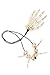 Necklace Skeleton Skulls Bone Pendants Voodoo Mambo Houngan Jewelry Halloween (Ivory, Black)