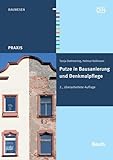 Putze in Bausanierung und Denkmalpflege (DIN Media Praxis)