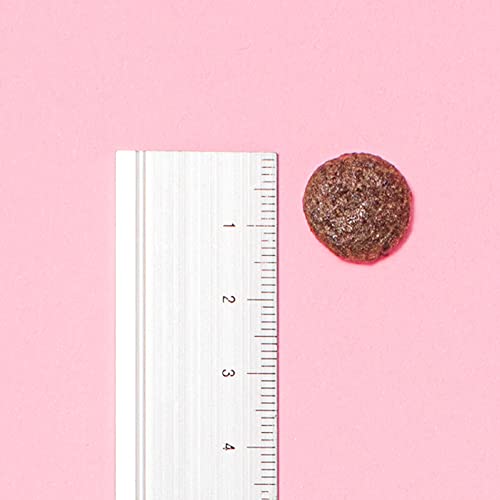 Pooch & Mutt - Getreidefreies Tierarzt-Diätfutter, Nierenfunktion, 1,5 kg