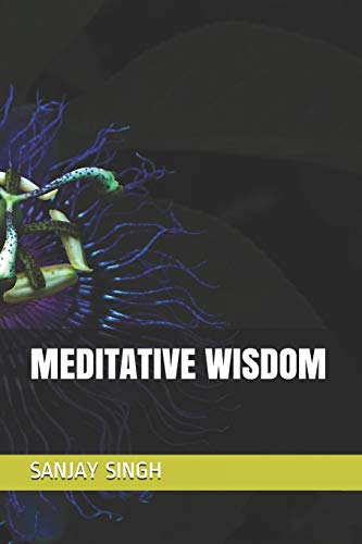 MEDITATIVE WISDOM