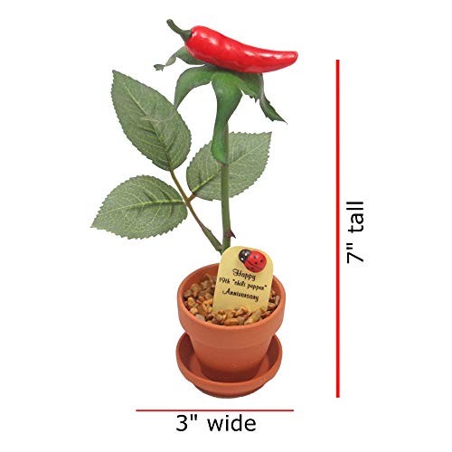 Justpaperroses 19Th Year Wedding Anniversary 7 Inch Potted Chili Pepper Desk Rose Flower #TOP2
