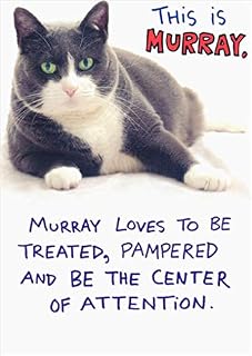 Recycled Paper Greetings Murray Funny/Humorous Cat Birthday Card