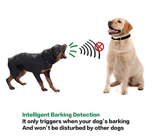 Coleira De Treinamento De Cães, Dispositivo De Controle De Latidos Recarregável à Prova D'água Cole