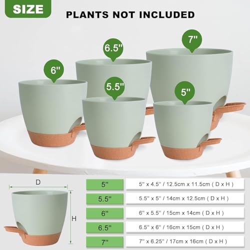 Image of INKULTURE Flower Pot for Indoor Plants - Self Watering Plant Pot Set of 5, Multi Size Plastic Planter with Drainage Hole & Watering Lip (7 /6.5 /6 /5.5 /5 Inch) Green | Pots for Home, Office & Succulents