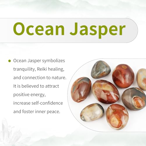 Œuf en jaspe océan minéral naturel poli, cadeau idéal avec son support