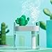 AmuseNd USB Cool Mist Humidifier with Night Light, Mini Size Cactus Humidifier for Bedroom Home Office Car with Timed auto Shutdown(Transparent)