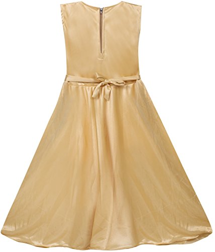 Image of BENKILS Cute Fashion Baby Girl's Lycra Frock Dress for