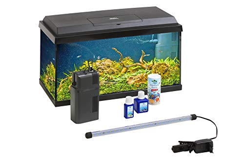Dehner Aqua 60-Liter Aquarium Starterset mit Zubehör