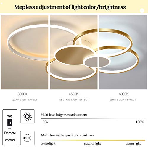 Plage LED dimmable avec télécommande pour grand salon moderne et lumineux - 2